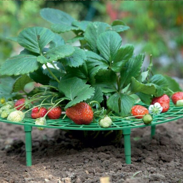 1 Pcs Round Plastic Strawberry Stand Balcony Grow Vegetables Fruit Climbing Pillar Gardening Bracket Plant Cages 2