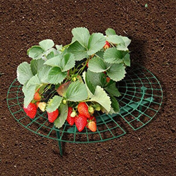 1 Pcs Round Plastic Strawberry Stand Balcony Grow Vegetables Fruit Climbing Pillar Gardening Bracket Plant Cages 3