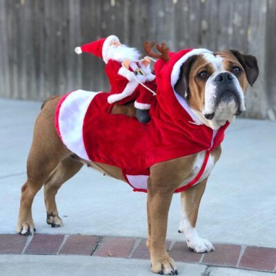Christmas Dog Clothes Santa Dog Costumes Holiday Party Dressing up Clothing for Smal Medium Large Dogs