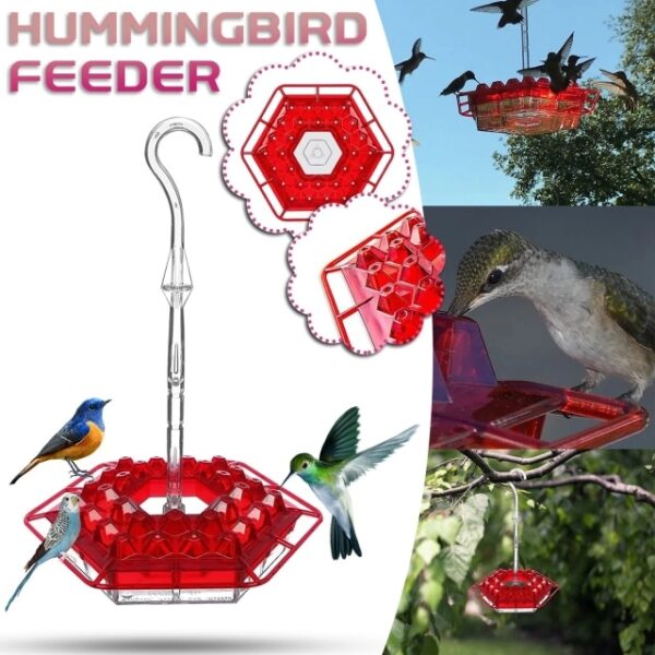 Easy To Clean Best Hummingbird Feeders Hummingbird Feeder With And Built in Ant Moat for