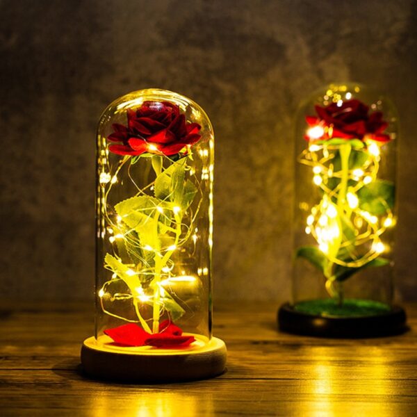 Falentynsdei kado foar freondinne Eternal Rose LED Ljocht Folie Flower In Glass Cover Mother Day 1