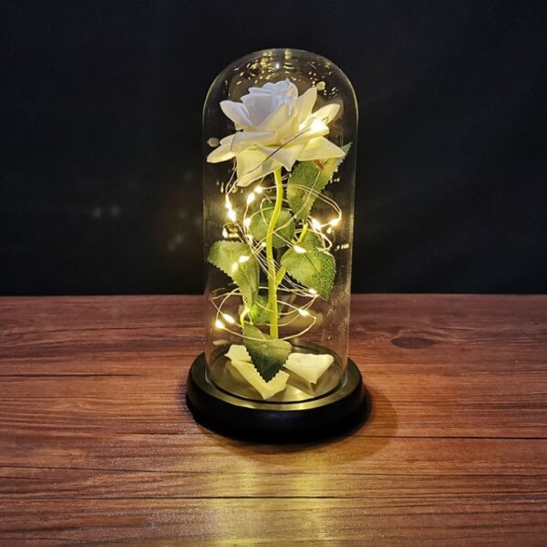 Falentynsdei kado foar freondinne Eternal Rose LED Ljocht Folie Flower In Glass Cover Mother Day 11.jpg 640x640 11