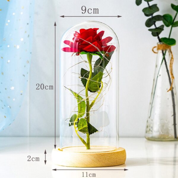 Falentynsdei kado foar freondinne Eternal Rose LED Ljocht Folie Flower In Glass Cover Mother Day 3