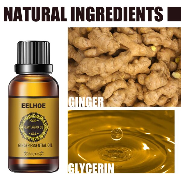 Free Shipping EELHOE essential oil Natural Ginger Oil Lymphatic Drainage Therapy Anti Aging Plant Essential Oils 4