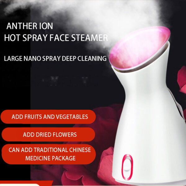 Nano Sprayer oli frutta e vegetali viso strumento cosmetico spruzzatore idratante viso Facial Steam Nano Ionic