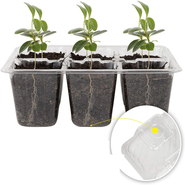 5 kompleta plastični lonac za rasadnik 12 rupa kutija za sadnju sjemena za uzgoj staklenika za sadnju vrtna posuda za sjeme 2