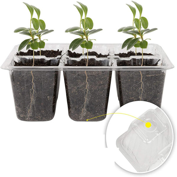 5 Sets Plastic Nursery Pot 12 Holes Seed Grow Planter Box Greenhouse Seeding Garden Seed Pot 2