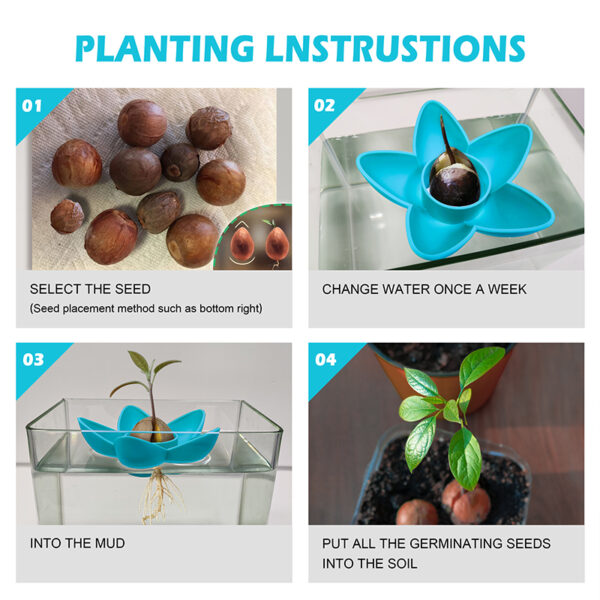 Planting Bowl Plant Indoor Kitchen Garden Gift Practical Gardening Avocado Tree Growing Kit Avocado Festivel Gifts 3