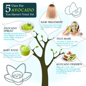 Avocado Tree Planter - image 5