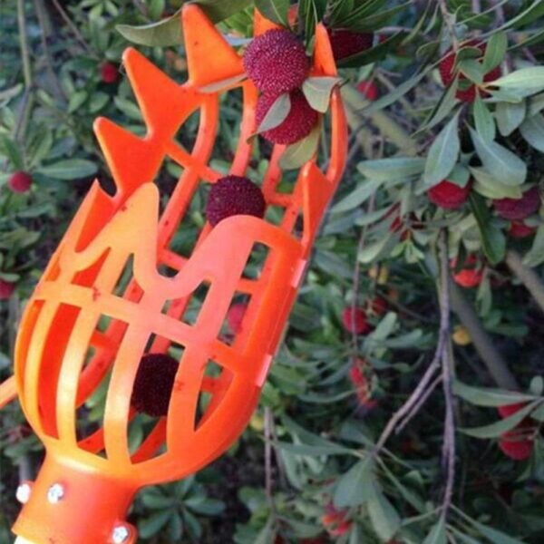 Garden Basket Fruit Picker Head Multi Color Plastic Fruit Picking Tool Catcher Agricultural Bayberry Jujube Picking 1