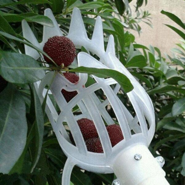 Garden Basket Fruit Picker Head Multi Color Plastic Fruit Picking Tool Catcher Agricultural Bayberry Jujube Picking 2