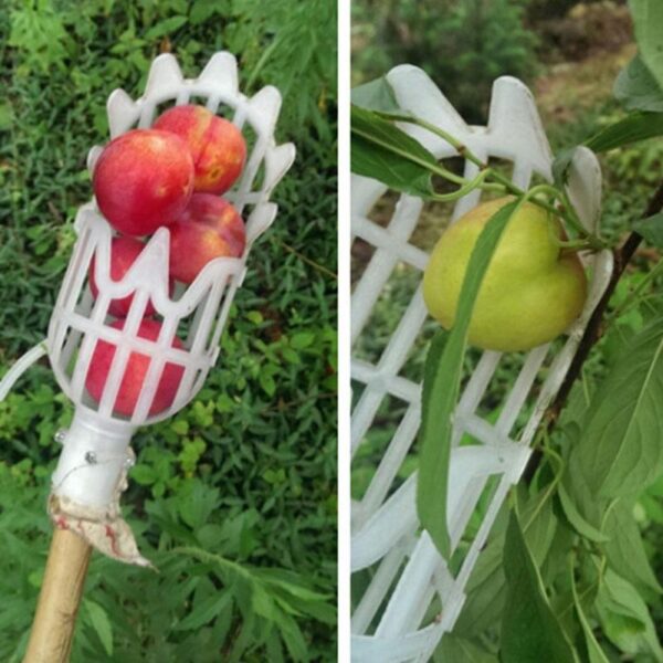 Panier de jardin tête de cueilleur de fruits, outil de cueillette de fruits en plastique multicolore, attrape-fruits agricole Bayberry Jujube cueillette 4