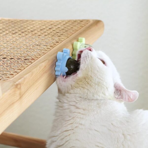 Frisk katt Kattmynta Leksaker Boll Katt Godis Slickande Snacks Näring Kattmynta Snack Näring Energiboll Kattunge 2