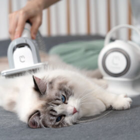 5 in 1 Pet Grooming Vacuum Kit - image 2