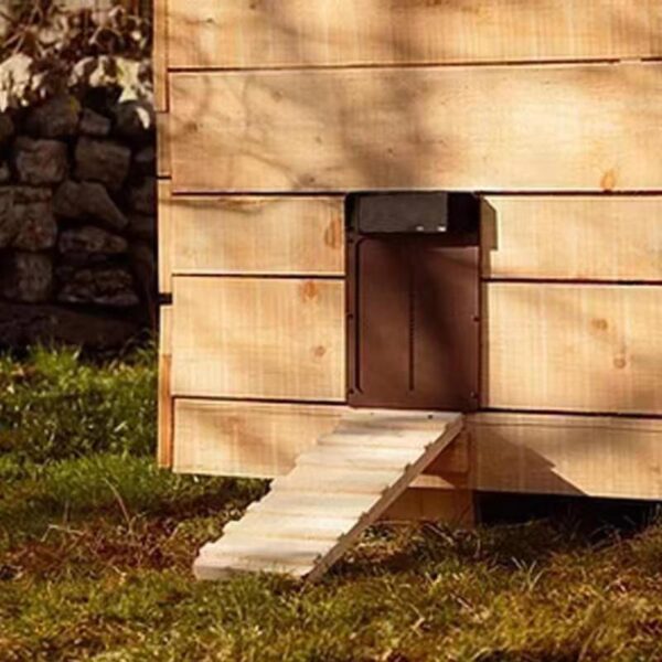 Automatic Chicken Coop Door Light Sense Door Opener Poultry Garden Chicken Duck Door Opener Practical Chicken 3
