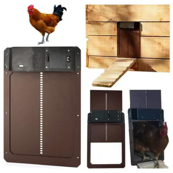 Ouvre-porte automatique de poulailler, détecteur de lumière, ouvre-porte de jardin pour volaille, poulet, canard, poulet pratique