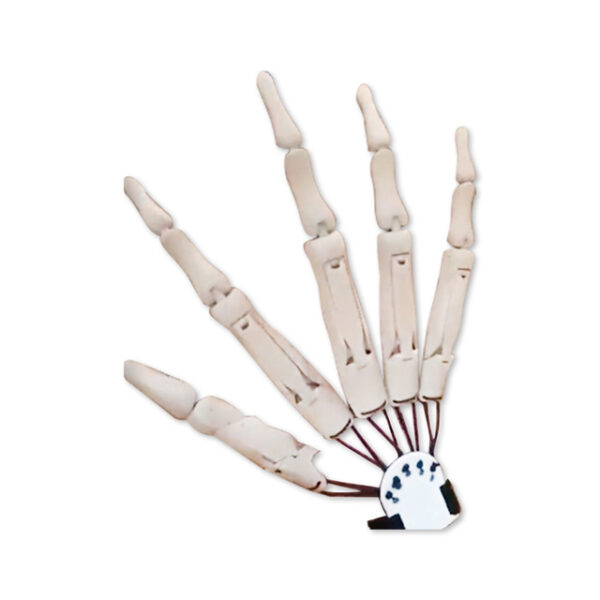 انگشتان مفصلی هالووین ترسناک انگشتان تقلبی اسکلت دستهای ترسناک واقعی Ghost Claw Props Cosplay Gear Finger 1.jpg 640x640 1