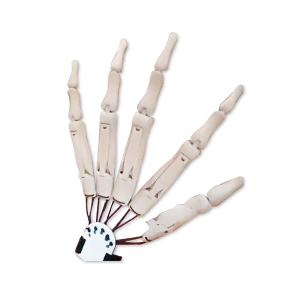 Halloween Articulated Fingers Scarry Fake Fingers Skeleton Hands Realistic Horror Ghost Claw Props Cosplay Gear