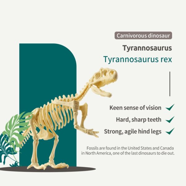 Sada nástrojů pro fosilní nálezy dinosaurů hračka pro archeologické vykopávky Jurský svět kostra dinosaura model vědy vzdělávací hračky pro děti 2