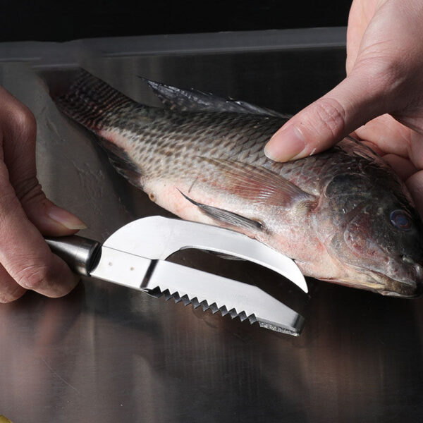 د مچھلی پیمانه چاقو د سمندري غذا مچھلی فلټینګ کټر سکیلر چاقو د پاکولو پیلر کولی شي د پخلنځي پخلي اوزار 3 خلاص کړي