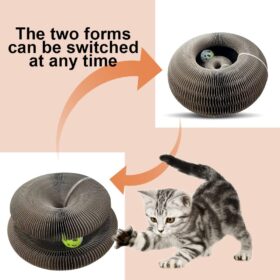 Magic Organ Cat Scratching Board - image 2