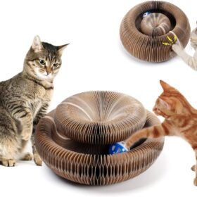 Magic Organ Cat Scratching Board - image 1