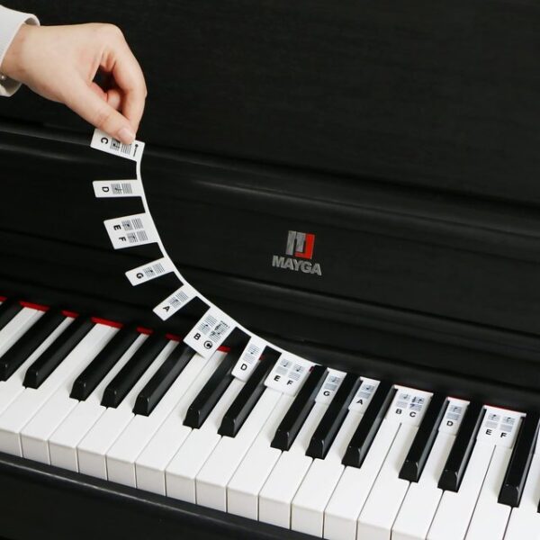 Miwayer Removable Piano Keyboard Labels Silicone Piano Notes Guide para sa Beginner 88 Key Full Size