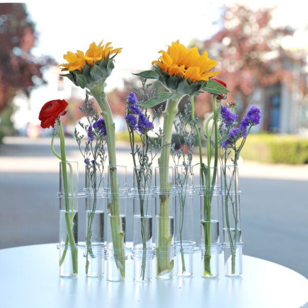 Clear Glass Vase Tubes Set Hanging Flower Holder Plant Container Flower Vases for Homes Room Decor 3