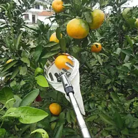 Fruit Picker Head Basket - image 4
